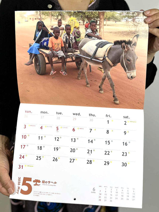 2025年11月の掲載予定